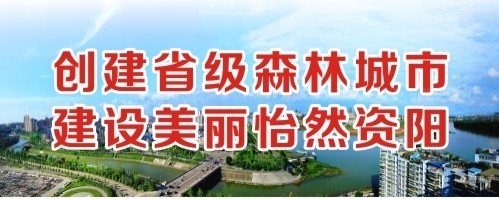 日本透B视频创建省级森林城市 建设美丽怡然资阳