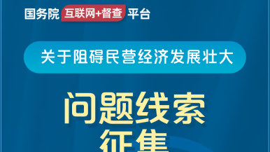 大鸡巴插阴道口视频国务院“互联网+督查”平台公开征集阻碍民营经济发展壮大问题线索